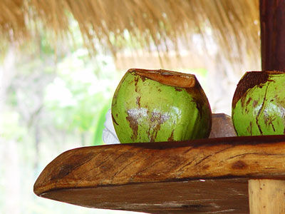 Hotel Casa Viva Troncones Exterior photo